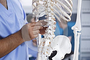 Chiropractor diagnosing physical defects