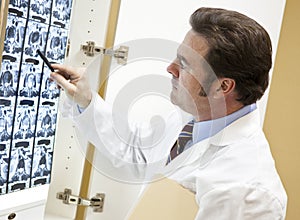 Chiropractor Examines CT Scan
