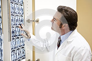 Chiropractor Examines Scan