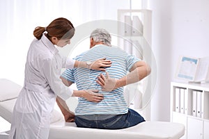 Chiropractor examining patient with back pain