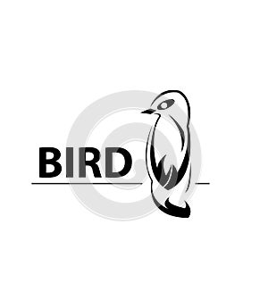 Chirping bird vector logo design