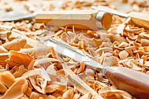 Chisels laid in wooden shavings on the desk