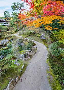 Chisen-kaiyushiki garden in Ginkaku-ji temple, Kyoto