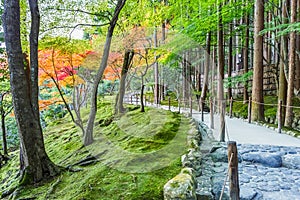 Chisen-kaiyushiki garden in Ginkaku-ji temple, Kyoto