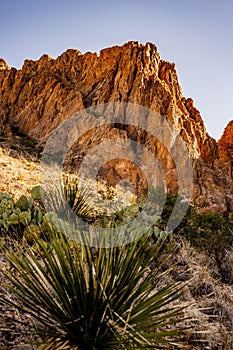 Chisos Mountains Loom Over Desert Valley Below