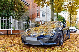 Chiswick suburb street in autumn, London