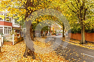 Chiswick suburb street in autumn, London