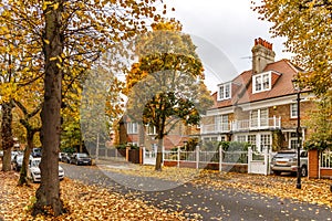 Chiswick suburb street in autumn, London