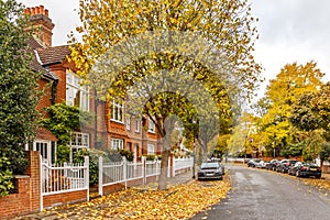 Chiswick suburb street in autumn, London