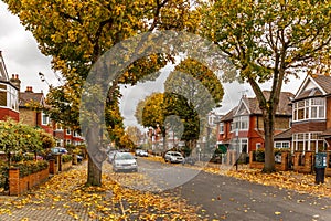 Chiswick suburb street in autumn, London