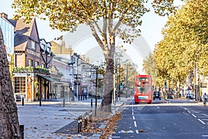 Chiswick suburb street in autumn, London