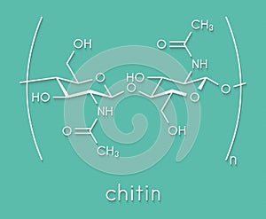 Chitin, chemical structure. Chitin is a polymer of N-acetylglucosamine and is present in the exoskeletons of insects, crustaceans