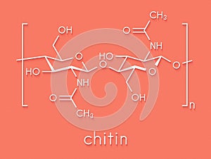 Chitin, chemical structure. Chitin is a polymer of N-acetylglucosamine and is present in the exoskeletons of insects, crustaceans