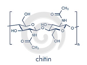 Chitin, chemical structure. Chitin is a polymer of N-acetylglucosamine and is present in the exoskeletons of insects, crustaceans. photo