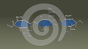 Chitin Structure