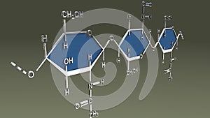 Chitin Structure photo