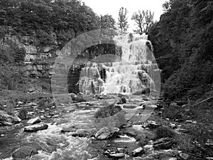 Chittenango Falls Black and White