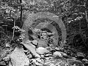 Chittenango Falls State Park Feeder Stream Black and White