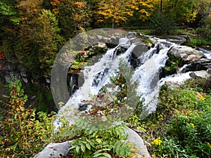 Chittenango Falls top view looking down waterfall