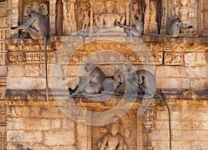 Chittorgarh citadel ruins in Rajasthan, India