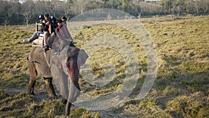 Chitwan elephant riding in forest