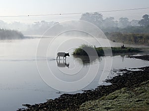 Chitwan National Park