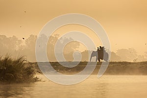 Chitwan National Park, Nepal - November 21, 2017. Tourists on elephants having a safari journey in the morning. Crossing the river