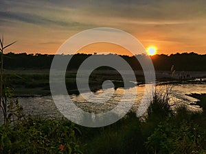 Chitwan sunset