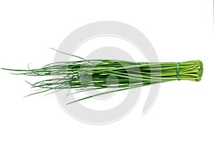 Chive