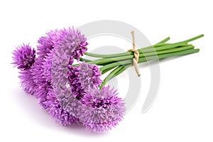 Chive flowers bunch tied photo