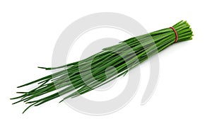 Chives photo