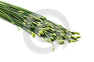 Chives flower or Chinese chive isolated on white background. Edible flowers.