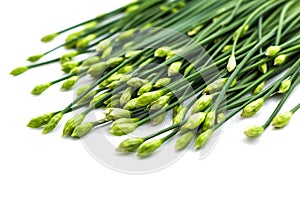 Chives flower or Chinese chive isolated on white background. Edible flowers.