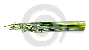 Chives flower or Chinese chive isolated on white background. Edible flowers.