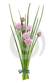 Chives Herb Flower Posy