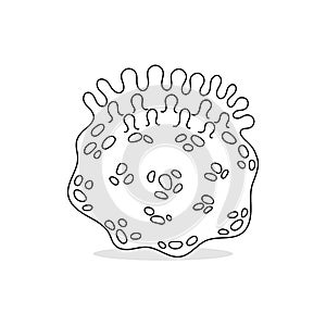 Chlamydia Disease Microorganisms Vector Colorless