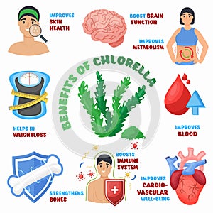 Chlorella benefits, superfood for healthy eating. Editable vector illustration photo