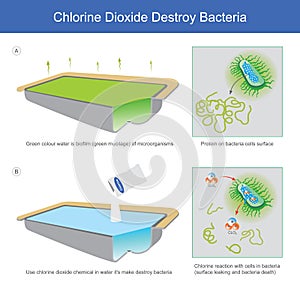 Chlorine Dioxide Destroy Bacteria. photo