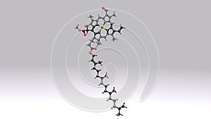 Chlorophyll B structure