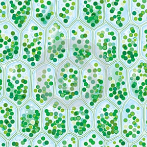 Chlorophyll Cells seamless pattern