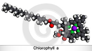 Chlorophyll A, chlorophyll molecule. It is photosynthetic pigment used in oxygenic photosynthesis. Molecular model. 3D rendering