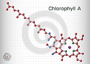 Chlorophyll A, chlorophyll molecule. It is photosynthetic pigment used in oxygenic photosynthesis. Sheet of paper in a cage