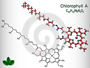 Chlorophyll A, chlorophyll molecule. It is photosynthetic pigment used in oxygenic photosynthesis. Structural chemical formula and