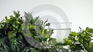 Chlorophyll extract is poured in pure water in glass against a white background and green organic dill and parsley herbs