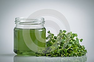 Chlorophyll extract is poured in pure water in glass against a white grey background and Micro greens or sprouts of raw live sprou