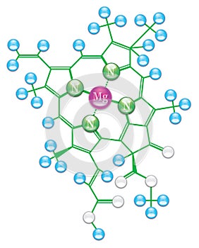 Chlorophyll formula II