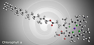 Chlorophyll A, chlorophyll molecule. It is photosynthetic pigment used in oxygenic photosynthesis. Molecular model. 3D rendering