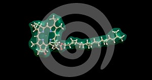 Chlorophyll molecule transparent surface and ball and stick model . 3d rendering