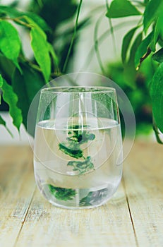 chlorophyll supplement in a glass of water. Selective focus.