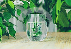 chlorophyll supplement in a glass of water. Selective focus.